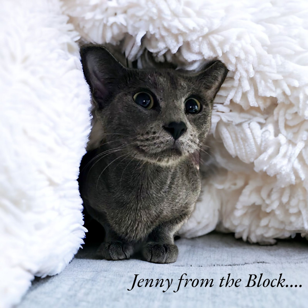 Jenny From The Block 4745