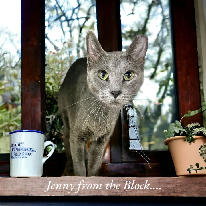Jenny From The Block 4745 4