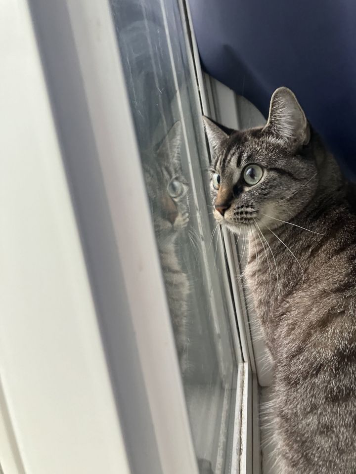PRINCESS - Offered by Owner 2