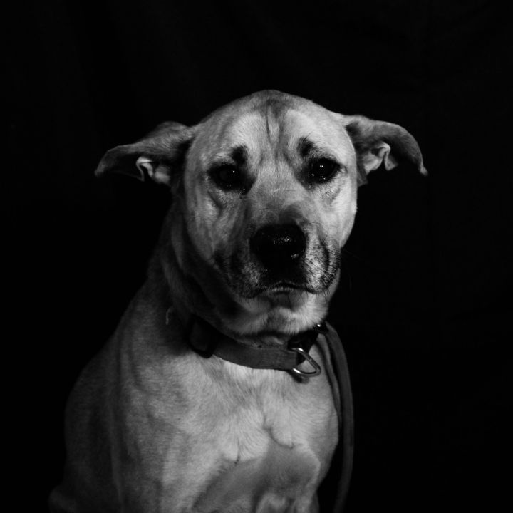 Tucker 6