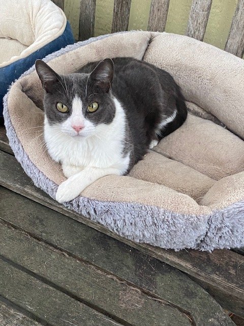 Maggie May 1