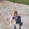 Luna aka Loony Tunes photo 3