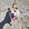 Luna aka Loony Tunes photo 4
