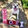 Luna aka Loony Tunes photo 6