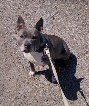 Winnie