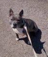 Winnie photo 1