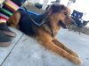 Ruckus photo 3