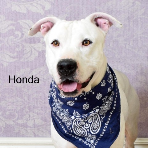 Honda detail page