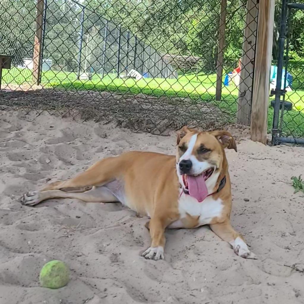Lupita