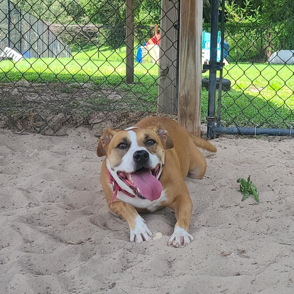 Lupita