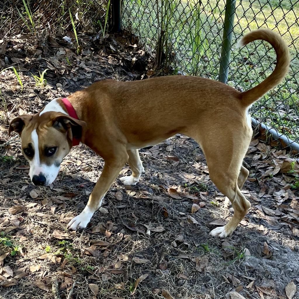 Lupita