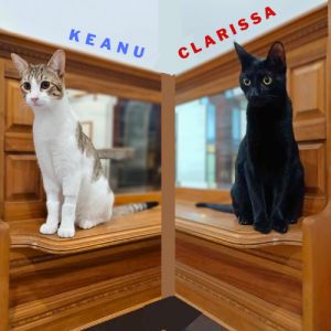 Keanu & Clarissa