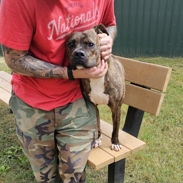 Bruiser 4