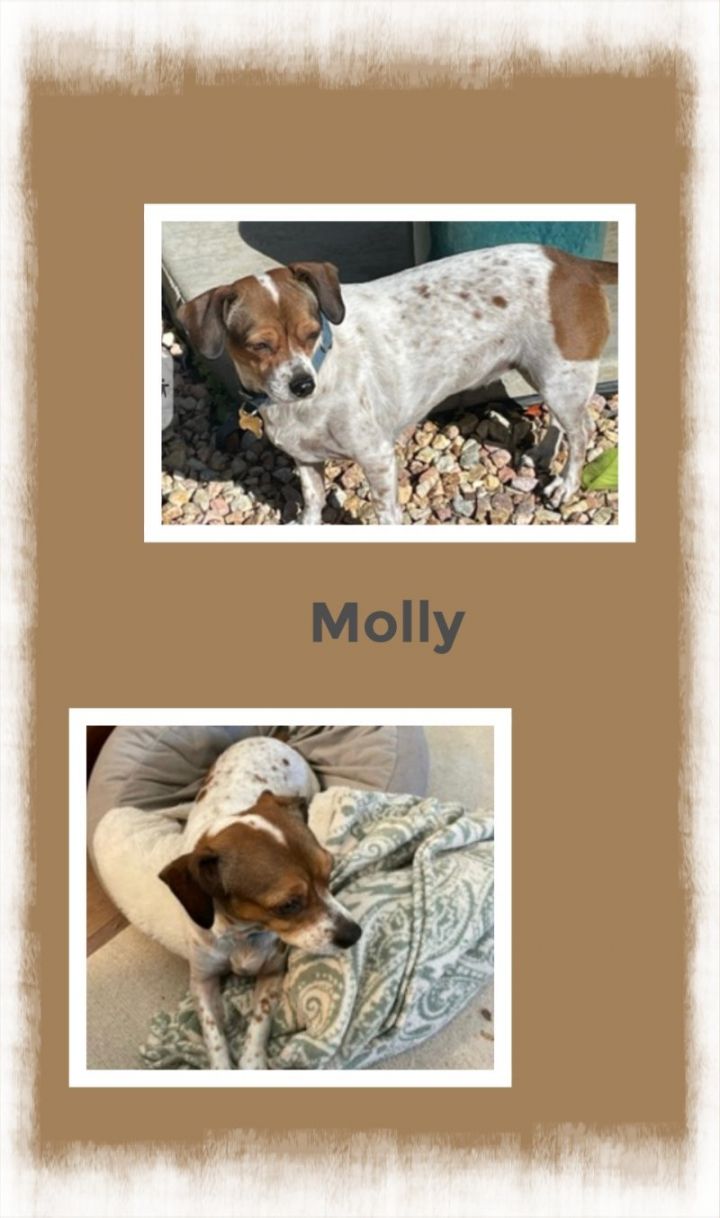 Molly 1