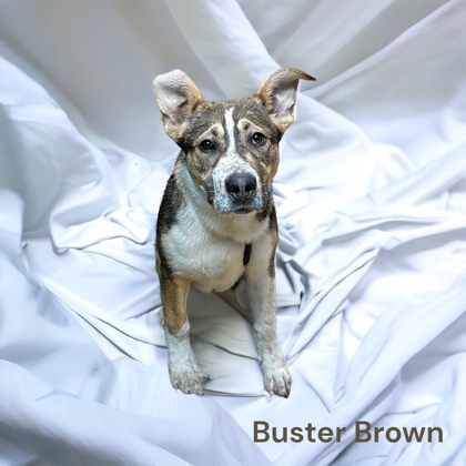 Buster Brown 1