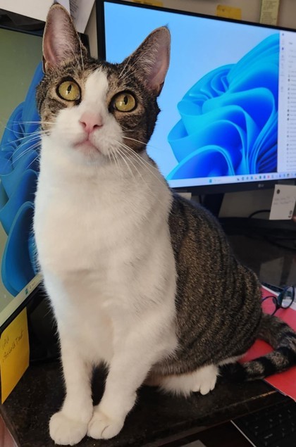 Sabrina