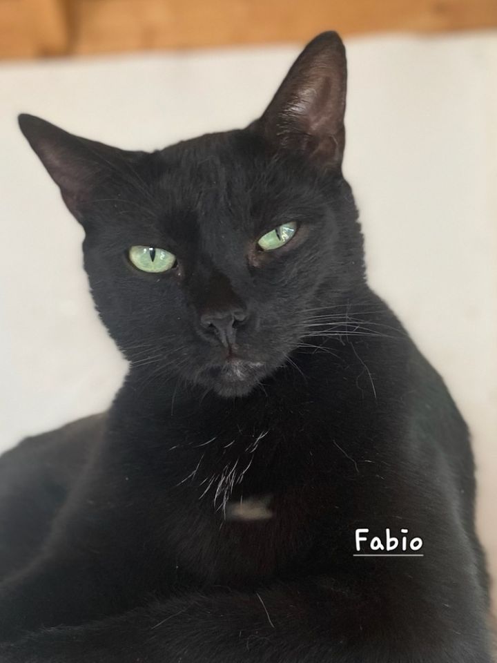 Fabio 1