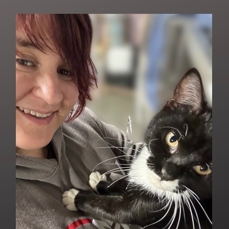 Petfinder ct discount