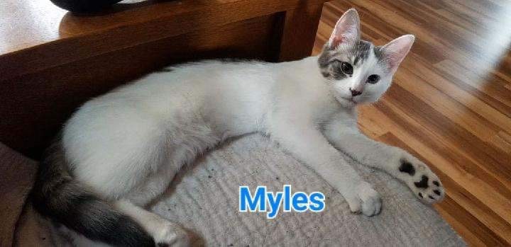 M- Myles