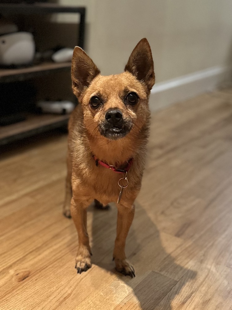 Rosco