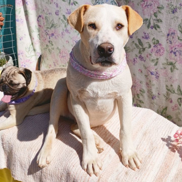 Jingles-his BFF is Baby Girl 3