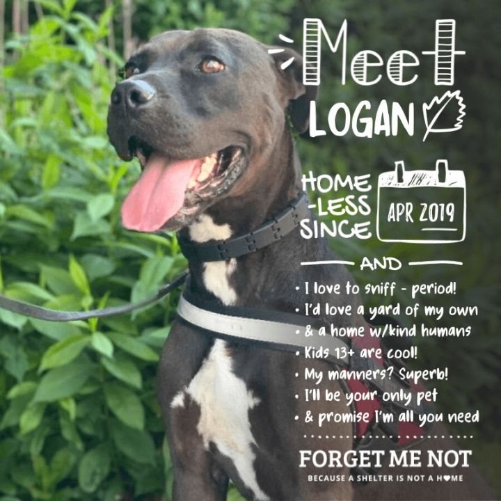 Logan 2