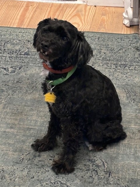 Jake (TX1)