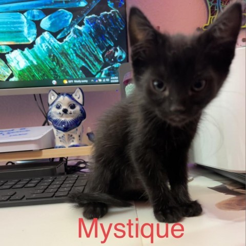 Mystique 2