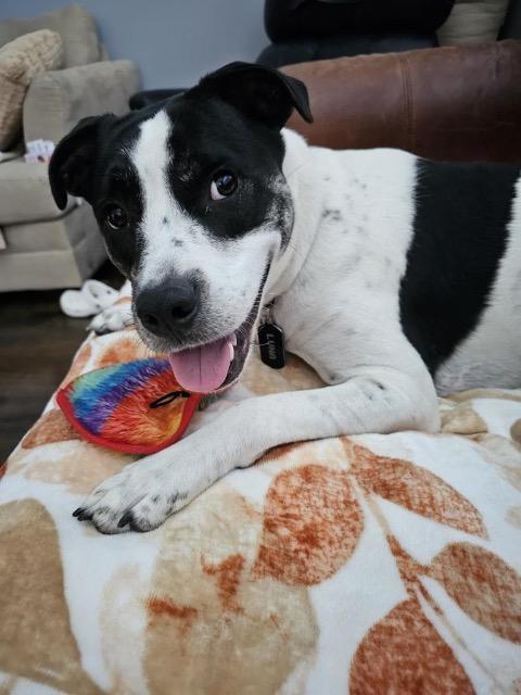 Luna