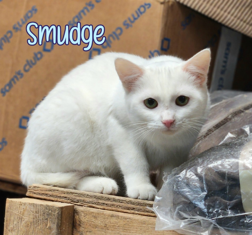 Smudge