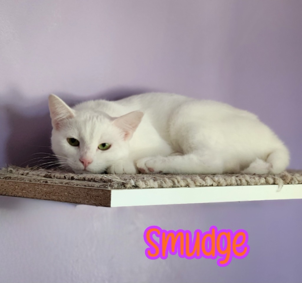 Smudge