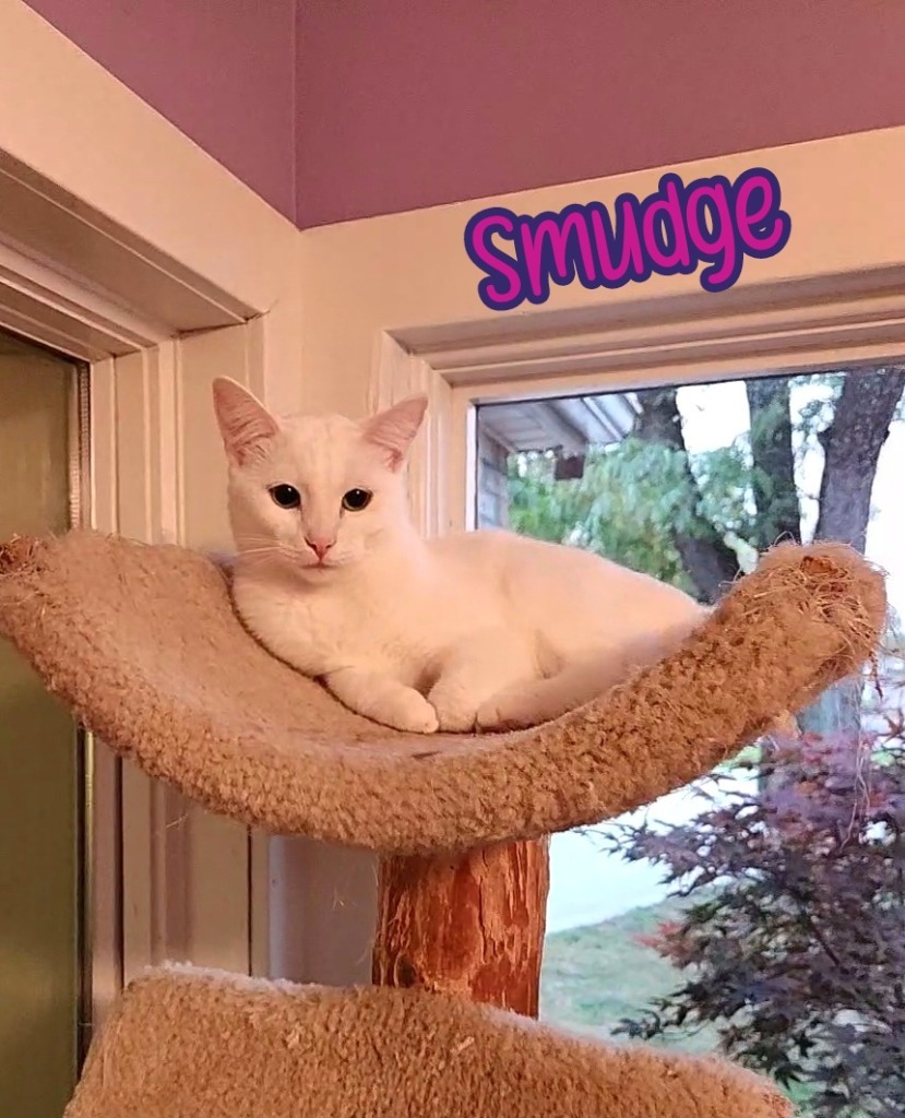 Smudge