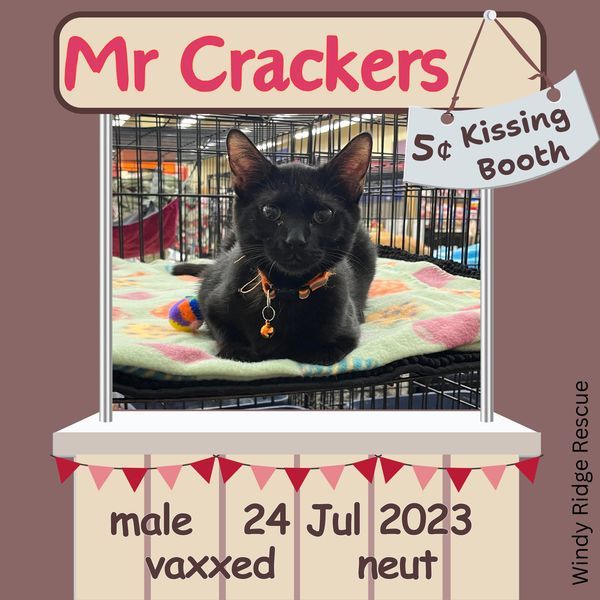 Mr. Crackers 2