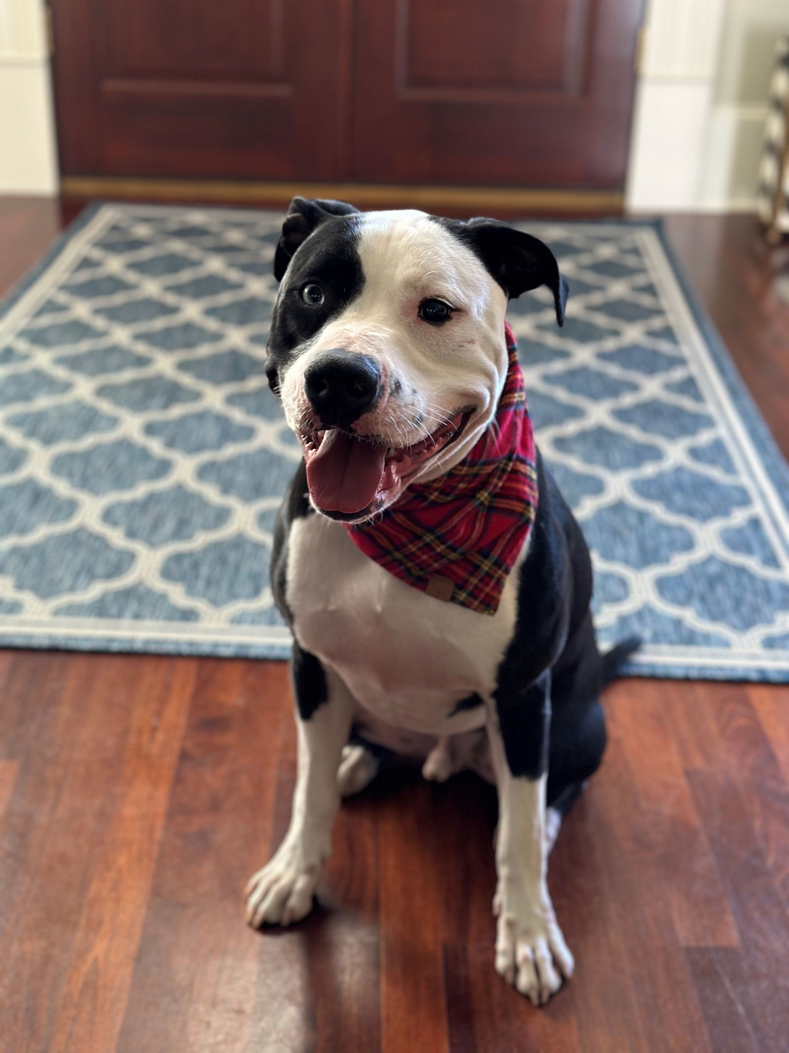 Tucker
