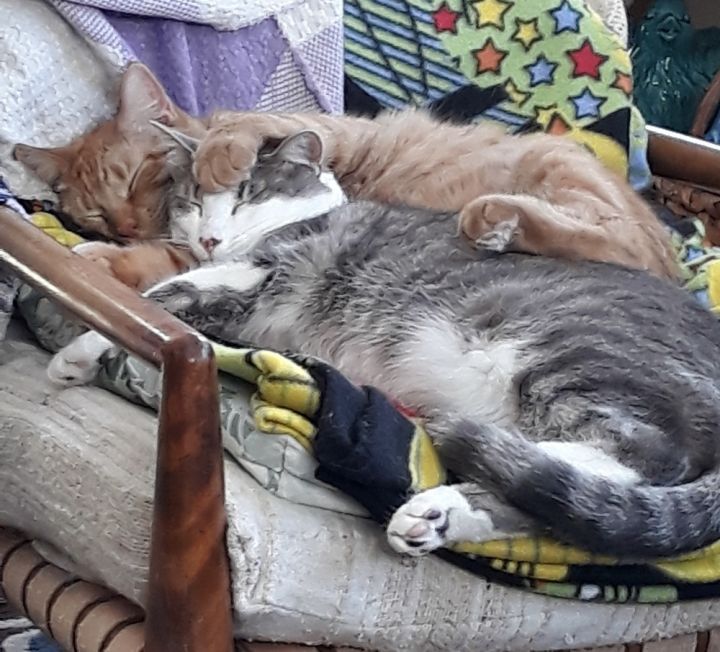 Jude Mood 4