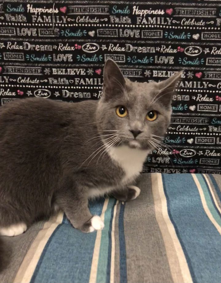 Keebler 3