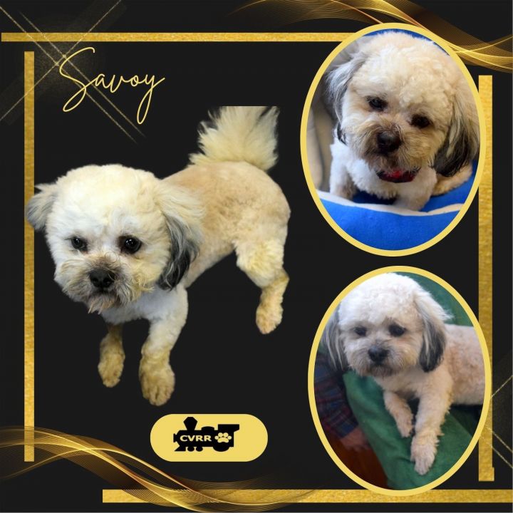 Savoy (Ritzy) 1