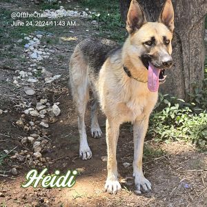 Heidi