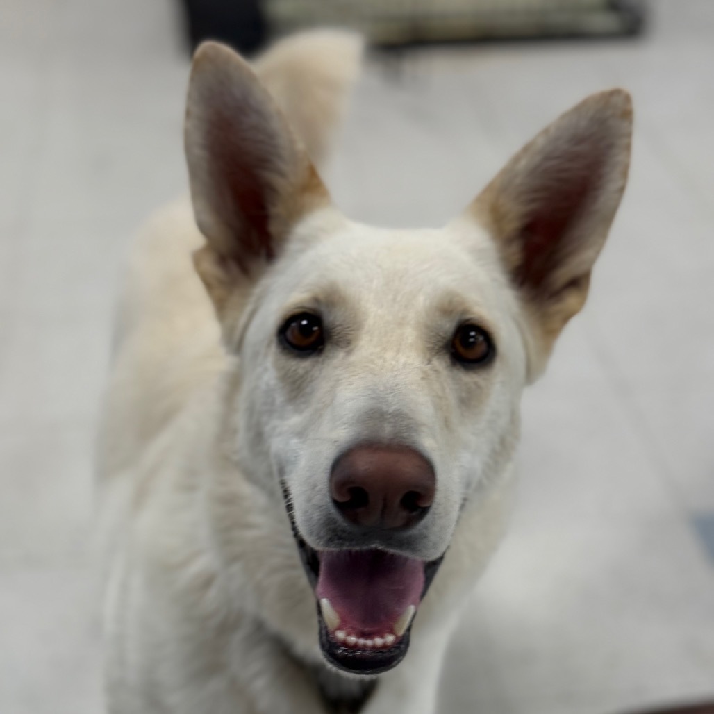 Roxy Aka Delany