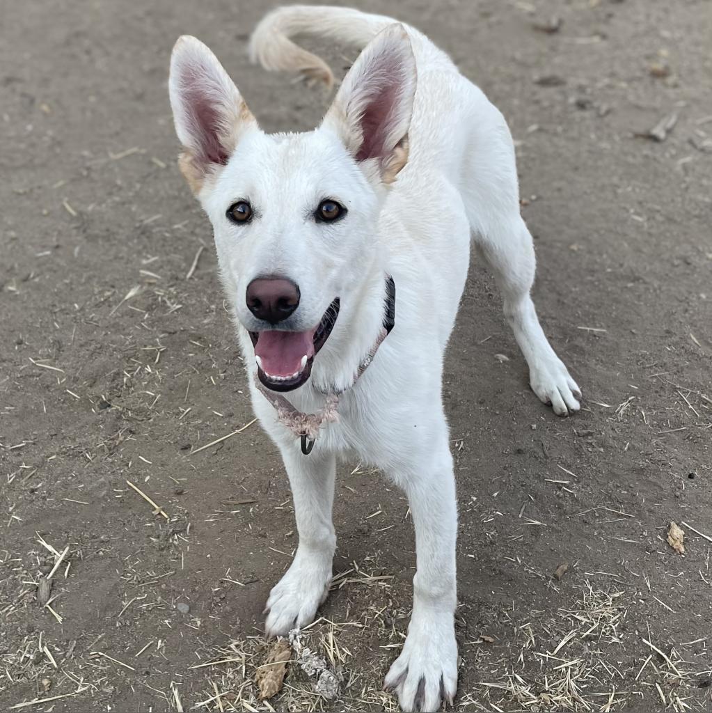 Roxy Aka Delany