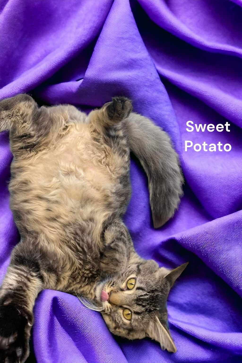 Sweet Potato detail page