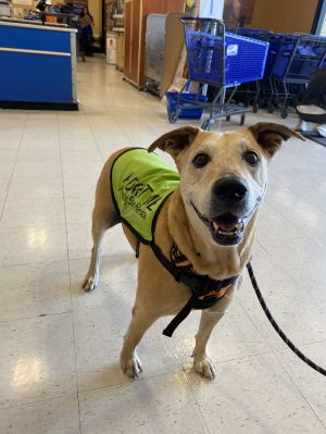 Riley, Senior Male unknown