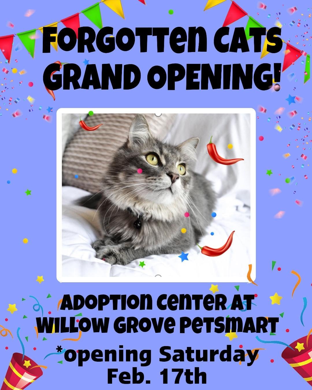 Forgotten Cats, Inc. at the Willow Grove PetSmart