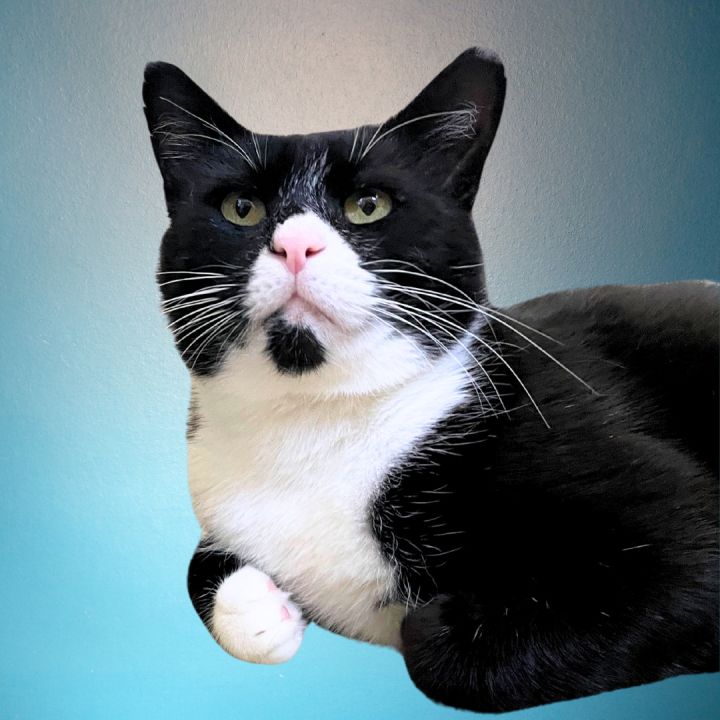 Tim McPaw 1