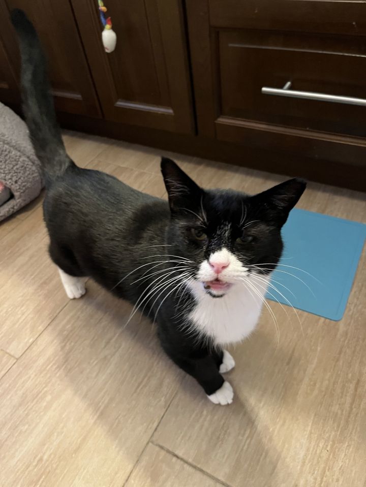 Tim McPaw 2