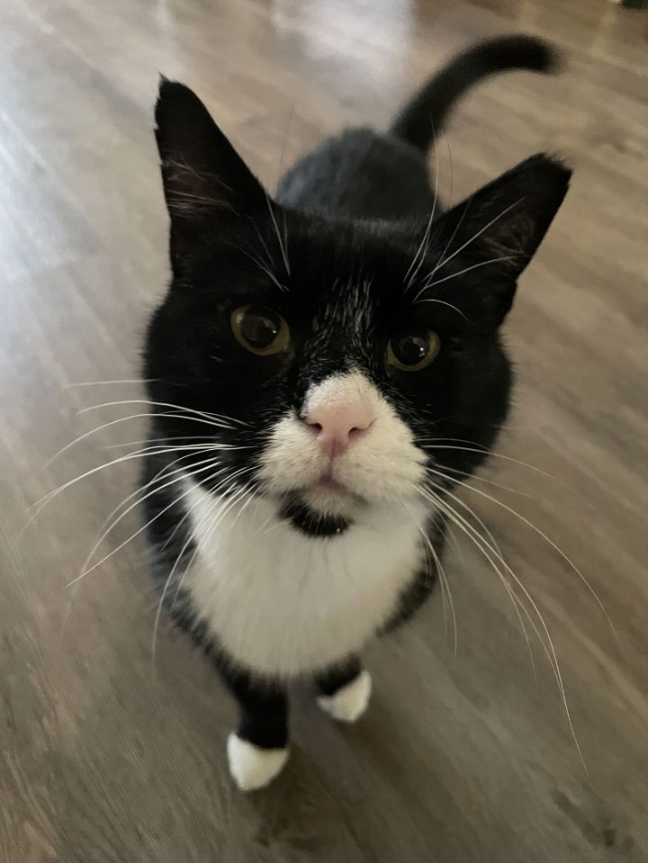 Tim McPaw 3