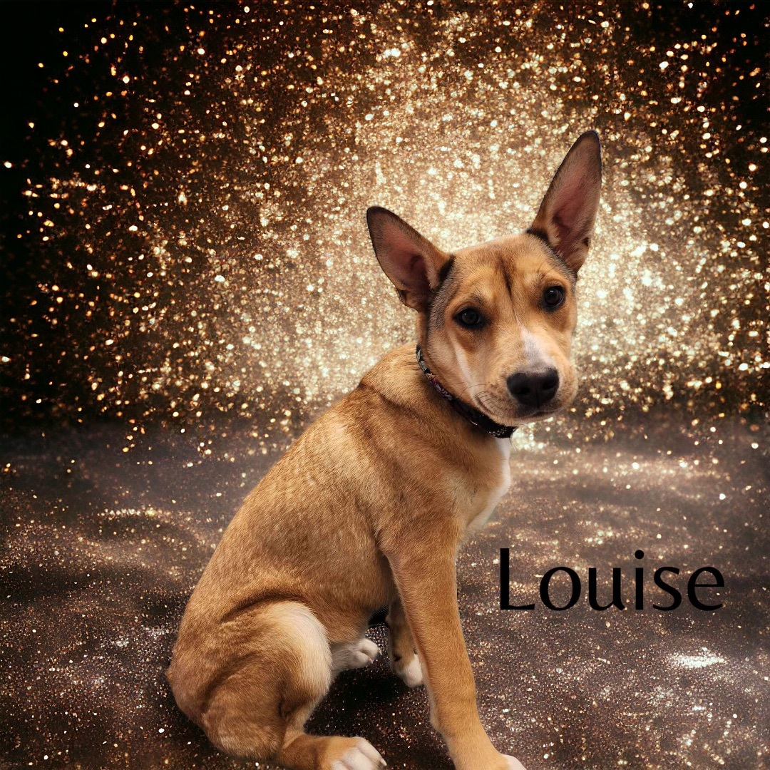 Louise 