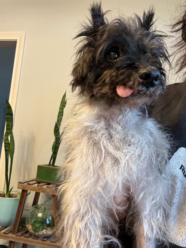 Otis