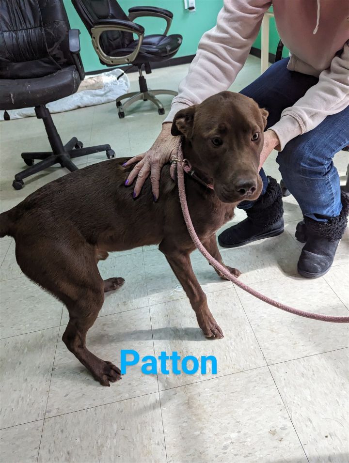Patton 1