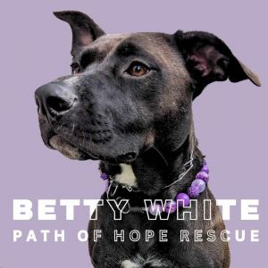A run or couch cuddles This girl covers all the bases Meet Betty White Betty White is located in 